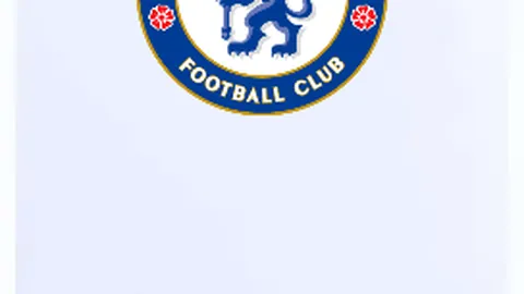 巴斯蒂安斯轉會德國進行傷勢治療，遠離泰達