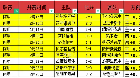 山东鲁能队次回合以1-0击败武汉卓尔，费莱尼独中靶心斩获关键进球