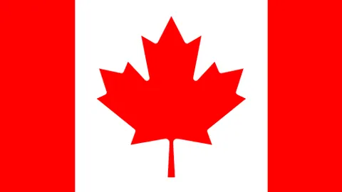 葡萄牙國家隊最新名單公佈：C羅確定參戰，2025歐預賽挑戰重重！